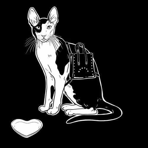 The Sad Cat #3724