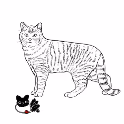 The Sad Cat #831