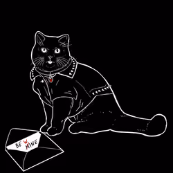 The Sad Cat #2231