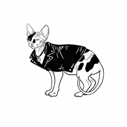 The Sad Cat #3552