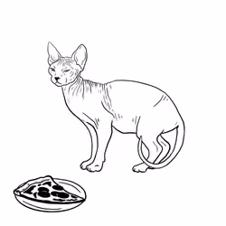 The Sad Cat #6152