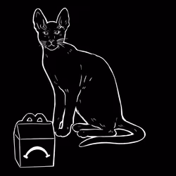 The Sad Cat #3817