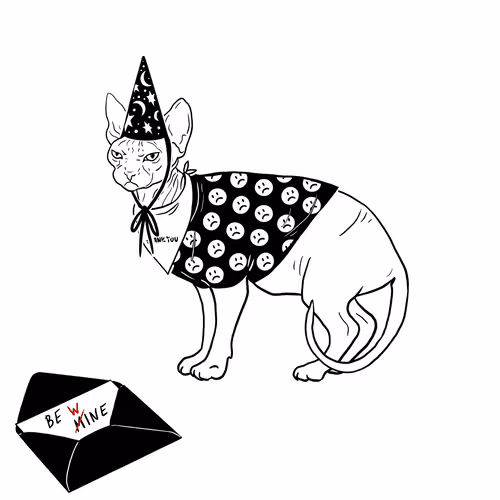 The Sad Cat #6498
