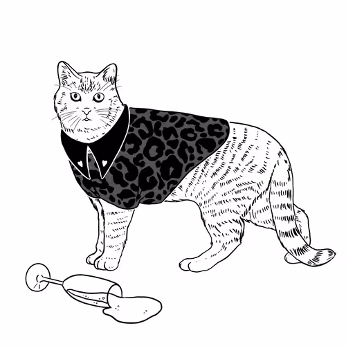 Thesadcats