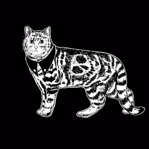 The Sad Cat #5878