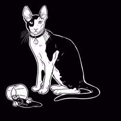 The Sad Cat #4178
