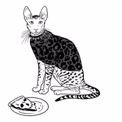 The Sad Cat #4124