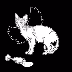 The Sad Cat #872