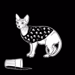 The Sad Cat #5212