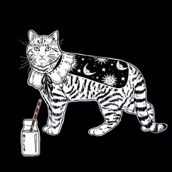 The Sad Cat #3432