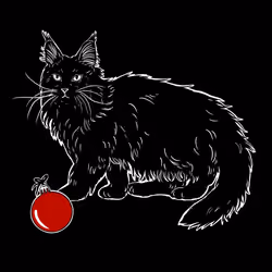 The Sad Cat #6153