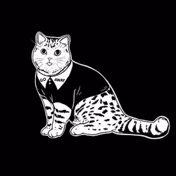 The Sad Cat #6333