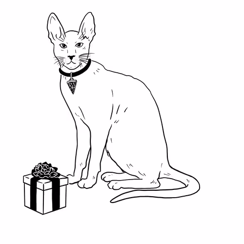 The Sad Cat #4611
