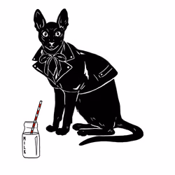 The Sad Cat #4104