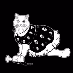 The Sad Cat #1155