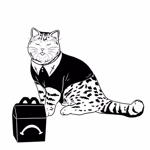 The Sad Cat #2951