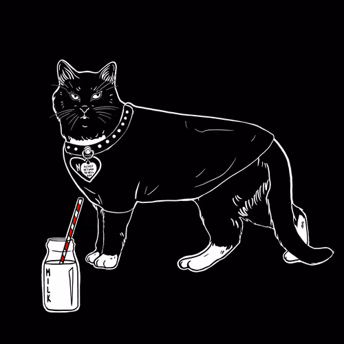 The Sad Cat #6504