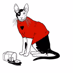The Sad Cat #5795