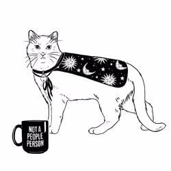 The Sad Cat #4037