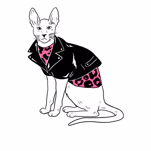 The Sad Cat #6733
