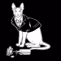 The Sad Cat #3300