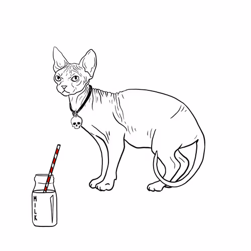 The Sad Cat #3855