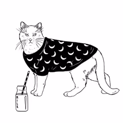 The Sad Cat #5943