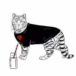 The Sad Cat #6301