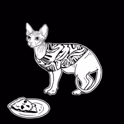 The Sad Cat #3980