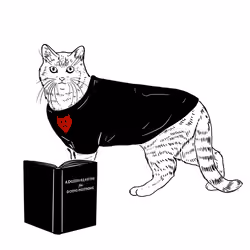 The Sad Cat #2763