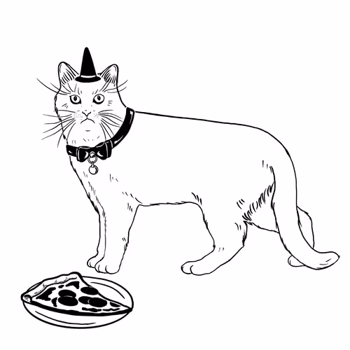 The Sad Cat #1888