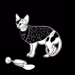 The Sad Cat #3876
