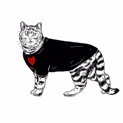 The Sad Cat #4634