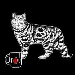 The Sad Cat #5165