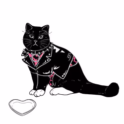 The Sad Cat #5673