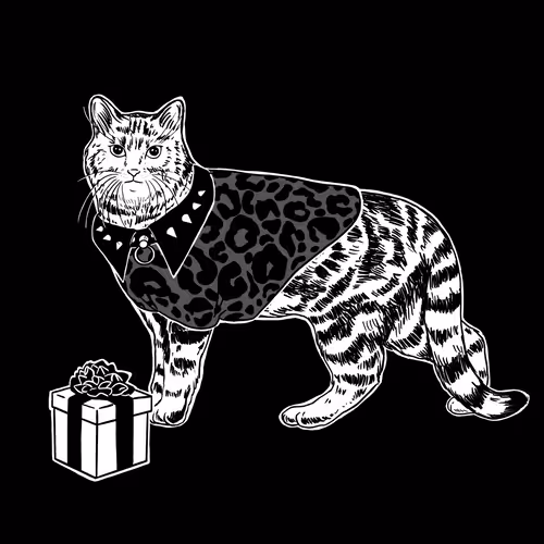 The Sad Cat #5784
