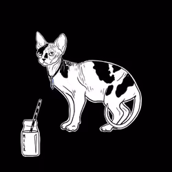 The Sad Cat #5229