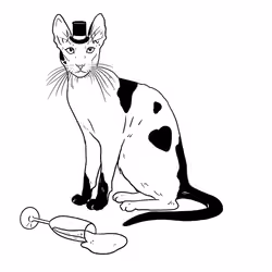 The Sad Cat #2243