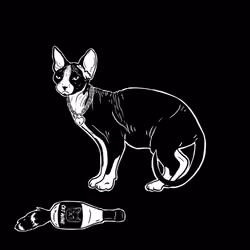 The Sad Cat #4504