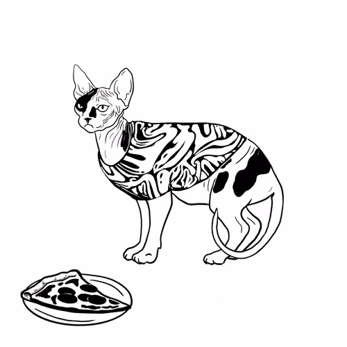 The Sad Cat #74