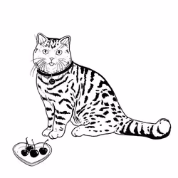 The Sad Cat #5116
