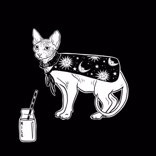 The Sad Cat #6661