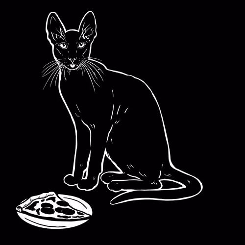 The Sad Cat #5835