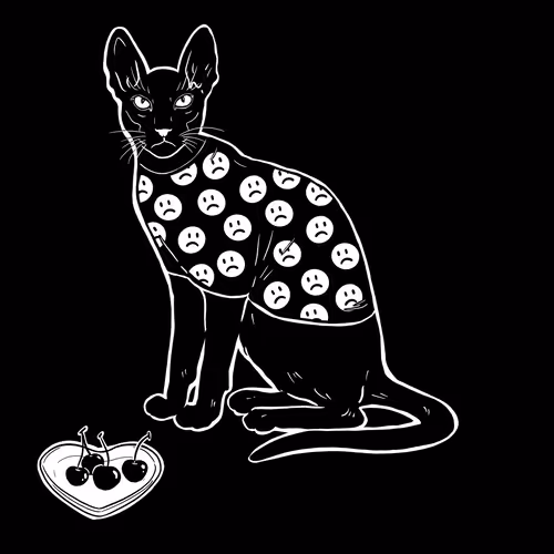 The Sad Cat #22