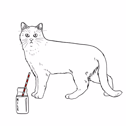 Thesadcats