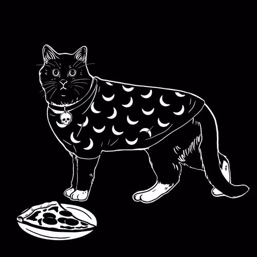 The Sad Cat #6274
