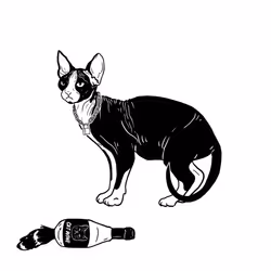 The Sad Cat #5095