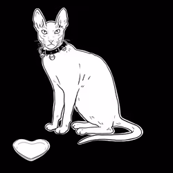 The Sad Cat #927