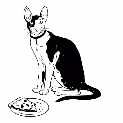 The Sad Cat #6367