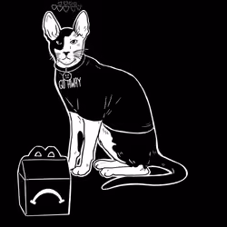 The Sad Cat #5739